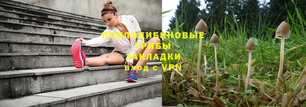 бошки Алзамай